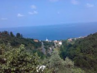 /album/resim-galerisi/images-25-jpg1/